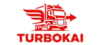 TikTok Icon